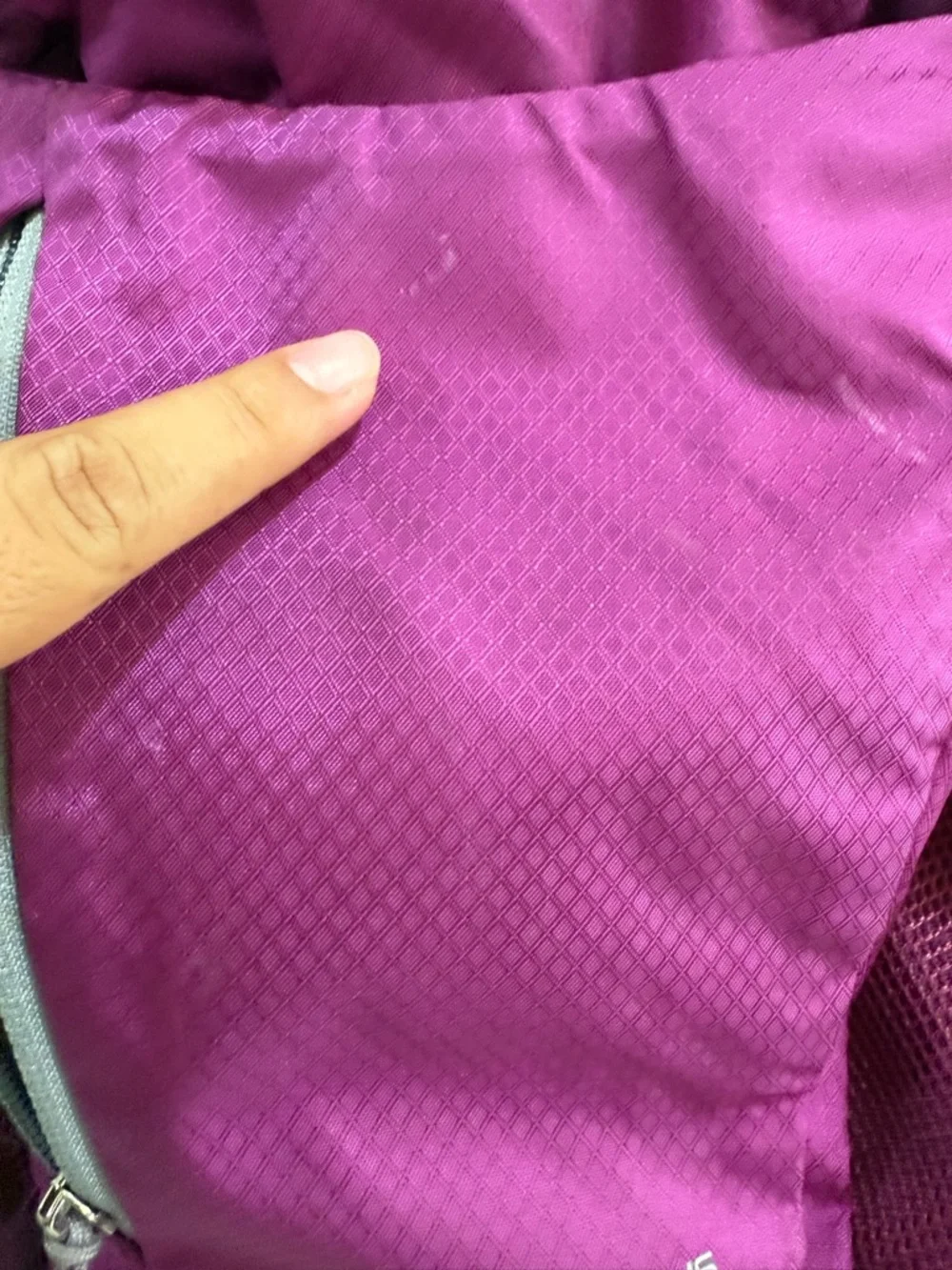 OSPREY Daylite Plus Backpack - Magenta and Light Gray Accents